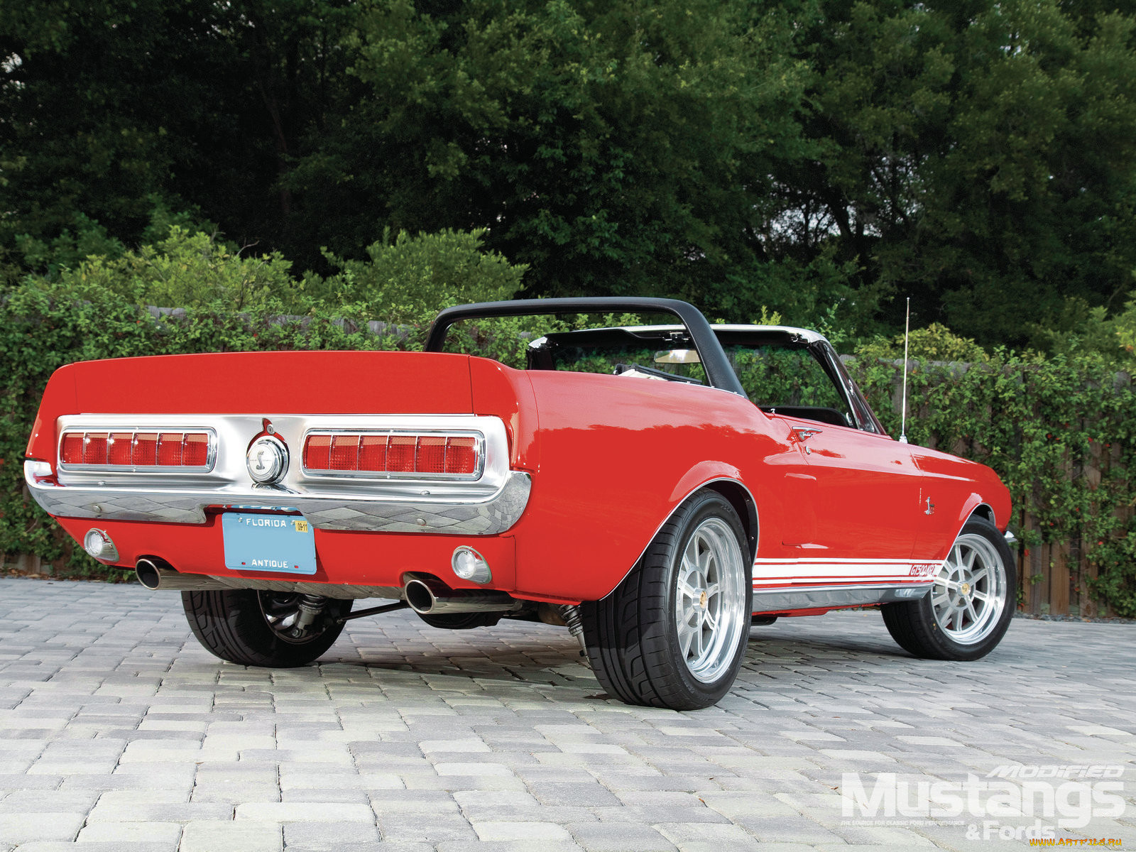 , mustang